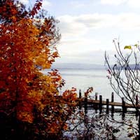Cayuga Lake - Autumn Dock