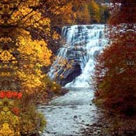 Ithaca Falls - Autumn Gold