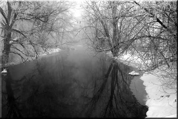 Dark reflections of winter trees shimmer on a misty river.