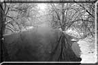 A dark river reflecting frost coated trees along its banks.