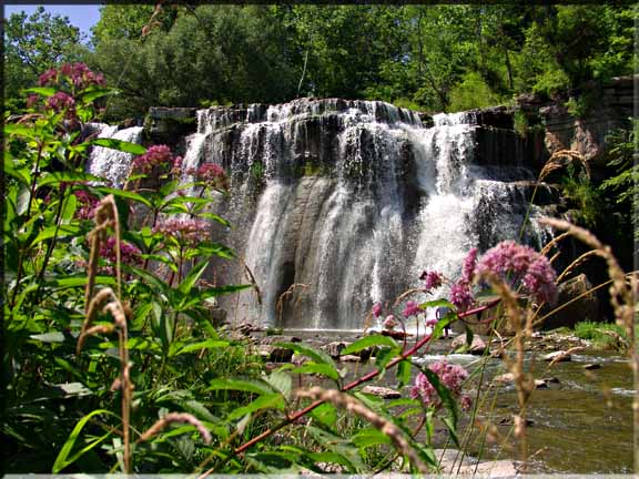 Ludlowville Falls is skirted with wild flowers.