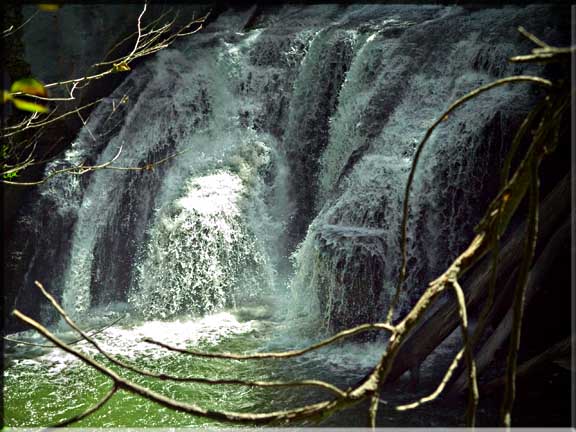 Potters falls is a beloved place to take a dip or sunbath.