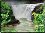 Photo of the Upper Falls, one of three waterfalls in Letchworth State Park.