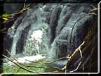 A photograph of Potters Falls in Ithaca, New York.