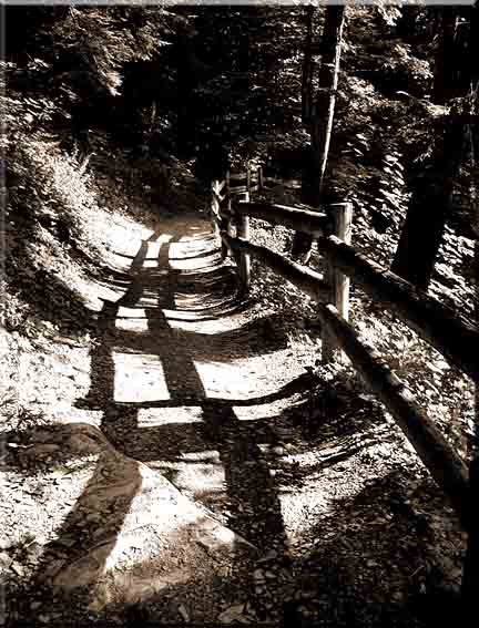 Zig-zag shadows on a path below Lucifer Falls in Robert Treman State Park in Ithaca, New York.