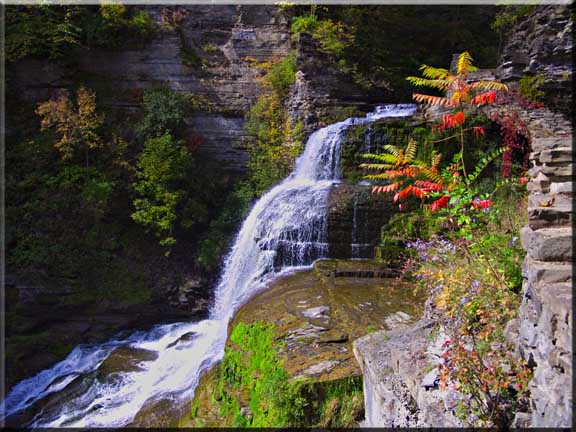 Staghorn Sumac outlined against Lucifer Falls in Robert Treman State Park.