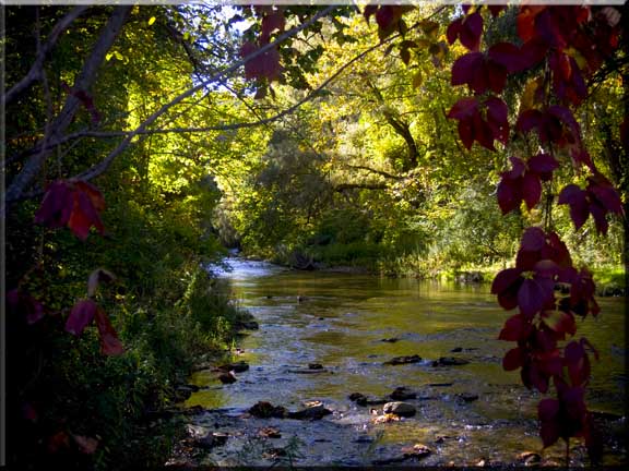 The beauty in Tremen State Park goes far beyond the waterfalls.