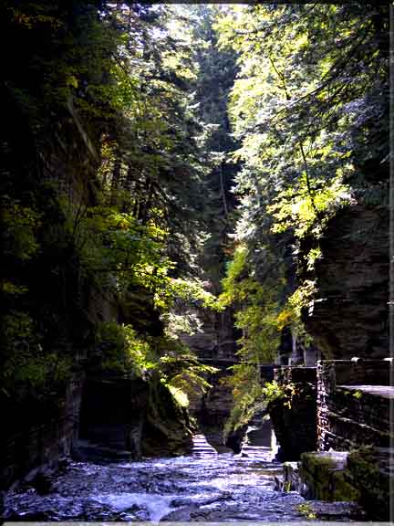 Shadows and sun dappling the cool gorge walkway in Robert Treman State Park.
