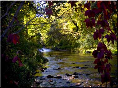 A stream framed by the first colors of fall far below Lucifer Falls.