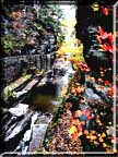 Looking upstream from the stone bridge in autumn at Robert Treman State Park.