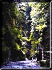 This photograph gives a sensory feel of the cool gorge leading to Lucifer Falls.