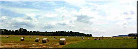 Hay bales scattered across the horizen.