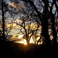 Dawning