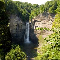 Taugh Heart of the Fingerlakes