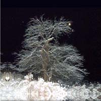 Moonstruck 1