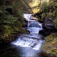 Treman By the Mill