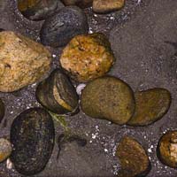 Study in Stone