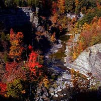 Taughannock - Upper Gorge