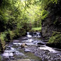 The Glen