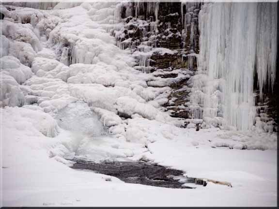 Cascadilla Gorge transformed into an icy dreamland.