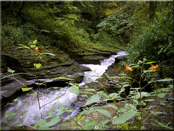The stream that flows down to the large falls at Buttermilk Falls State park, Ithaca, NY