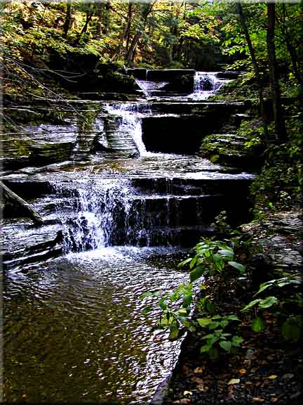 A shady view upstream above Buttermilk Falls in Ithaca, NY.
