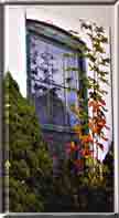 A Giclee canvas print of an old window.