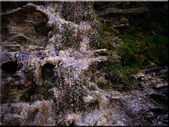 Landscape photography in Buttermilk Falls Gorge.