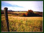 Autumn landscape.