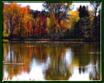 Autumn landscape photo of a pond surrounded with bright foliage.