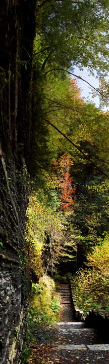 A stone path beside a tall cliff.