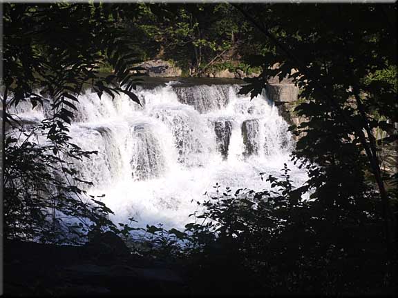 The lower falls at Taughannock Falls State Park surrounded by summer foliage.