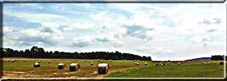 Hay bales scattered along the horizen